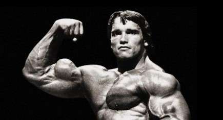 pico do bíceps arnold