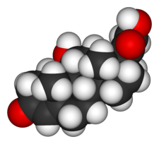 cortisol