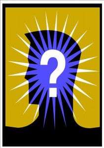 quiz quiz