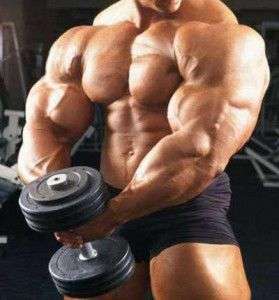leepriest