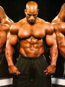 muscular