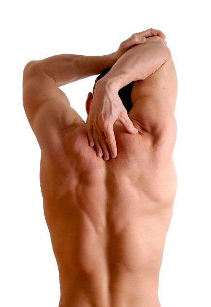Alongamento alongamento muscular, alongamento pernas, alongamento coluna, alongamento no trabalho, alongamento braço