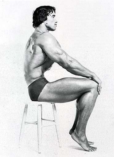 arnold cintura