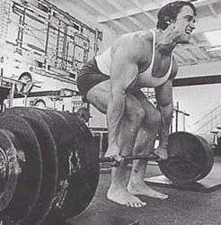 arnoldterra