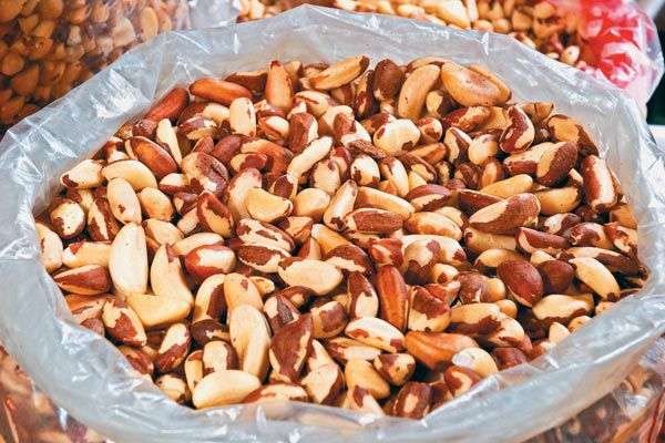 castanha-do-para-alimentos-funcionais-beleza-01g