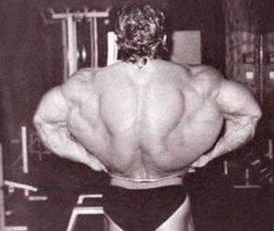 dorian-back-300x253.jpg