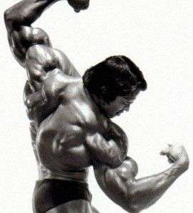 arnoldcostas