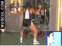 agachamentosumo.gif
