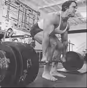 Arnold-fazend-terra-294x300.jpg