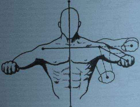posicionamento das mãos durante a flexão de braço