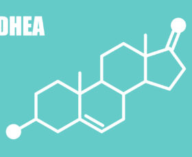 dhea musculação