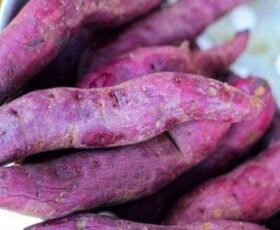 comer batata doce a noite é bom ou ruim