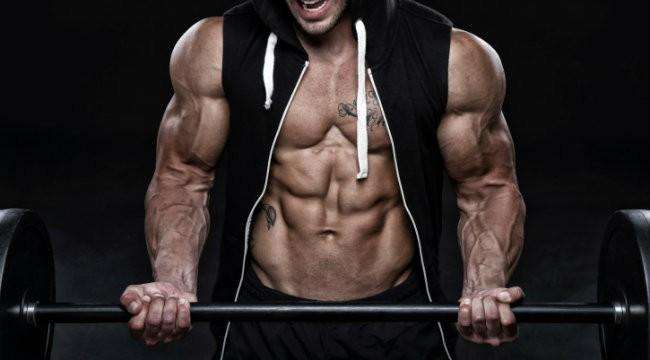 treino abc visando definição muscular