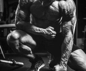 aumentar a vascularização muscular