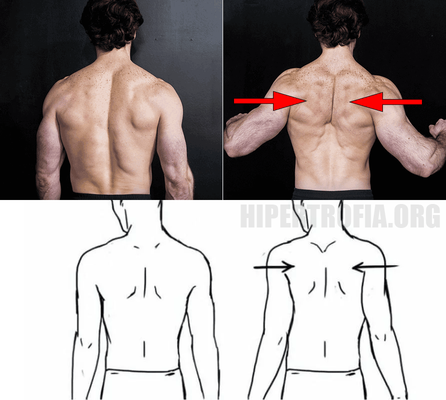 Supino reto com rotação . Um bom exercício para isolar o peitoral, trabalha  junto com peitoral Tríceps e deltoide anterior. . . . Essa rotação do, By ge_alessiopersonal_