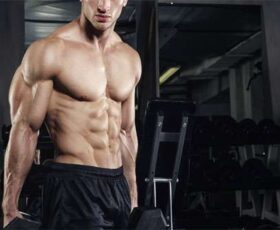os inúmeros benefícios da musculação
