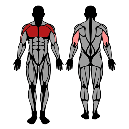 Supino reto com rotação . Um bom exercício para isolar o peitoral, trabalha  junto com peitoral Tríceps e deltoide anterior. . . . Essa rotação do, By ge_alessiopersonal_