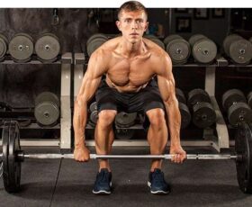 guia do ectomorfo para gerar hipertrofia