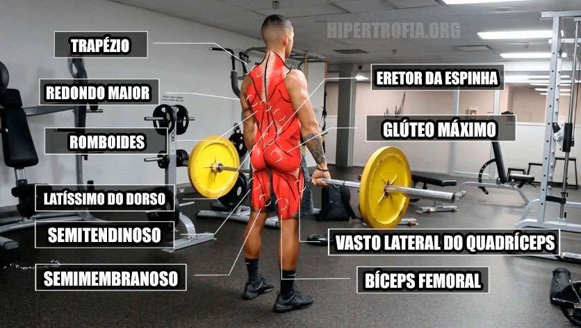 Levantamento Terra: 4 passos para uma execução segura e eficaz - MUSCULAÇÃO  SR: O mundo fitness em suas mãos.