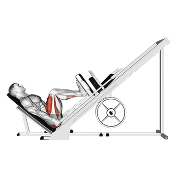 leg press 45 gif visão lateral