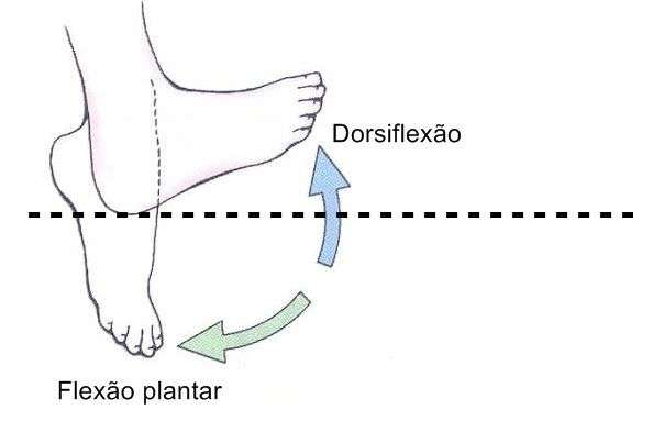 Diferença entre dorsiflexão e flexão plantar