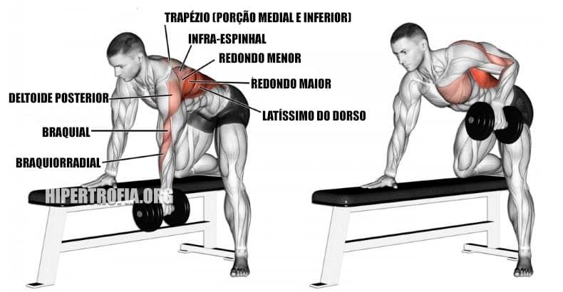 Sumô Pegada Reta Unilateral Bíceps Costas Tríceps Academia - Rei do Fitness