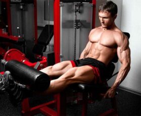 Cadeira extensora para quadríceps