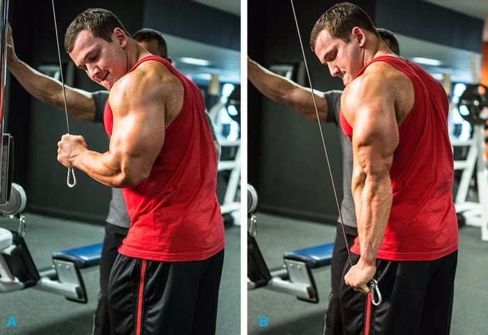 triceps na corda com uma mão