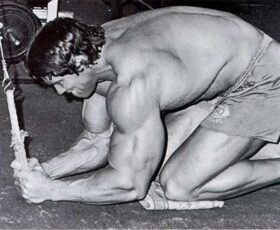 arnold fazendo um treino abdominal na polia