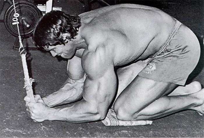 arnold fazendo um treino abdominal na polia