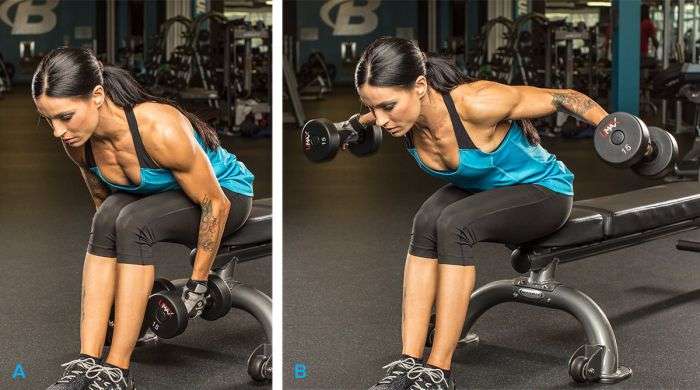 O melhor treino para OMBROS REDONDINHOS e FEMININOS 