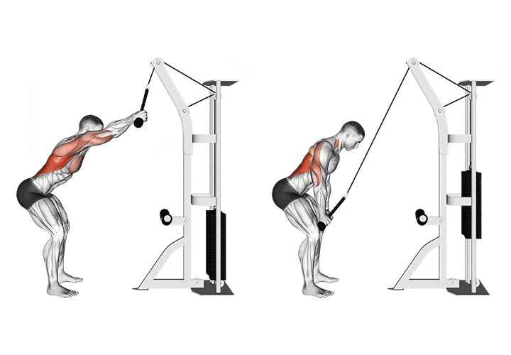 ilustração mostrando a execução do exercício pull down na máquina de polia alta, especificamente a posição inicial e final do movimento