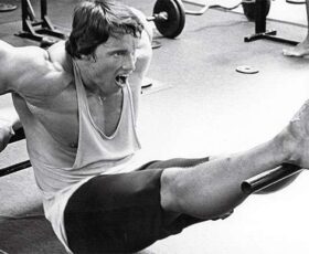 Arnold fazendo triceps banco