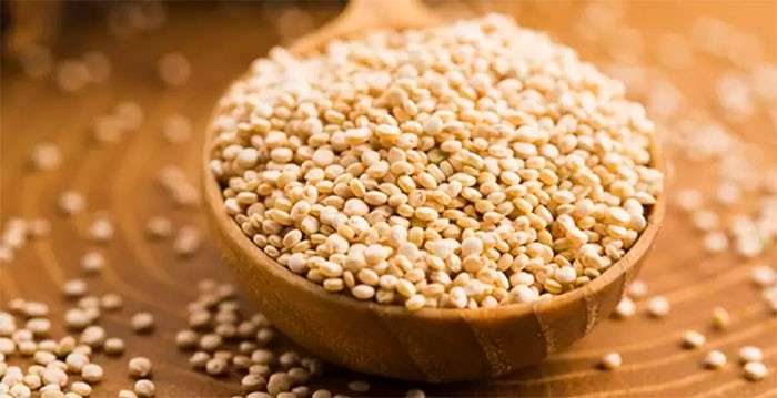 quinoa como fonte de carboidrato