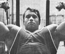 arnold bracos gigantes