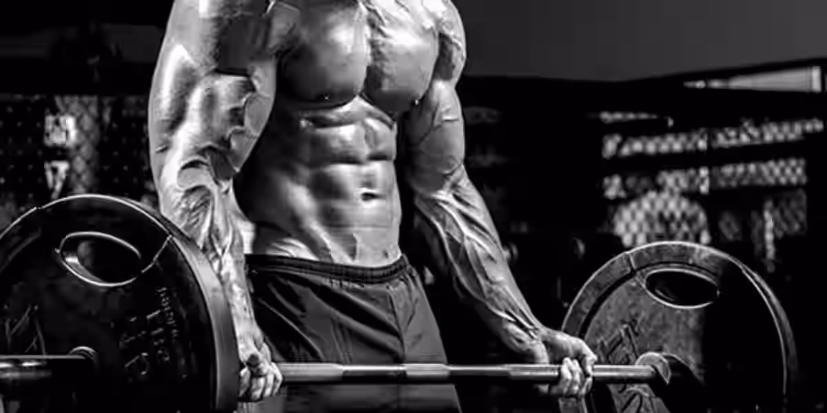 Professor de musculação fala sobre os melhores exercícios para bíceps na academia
