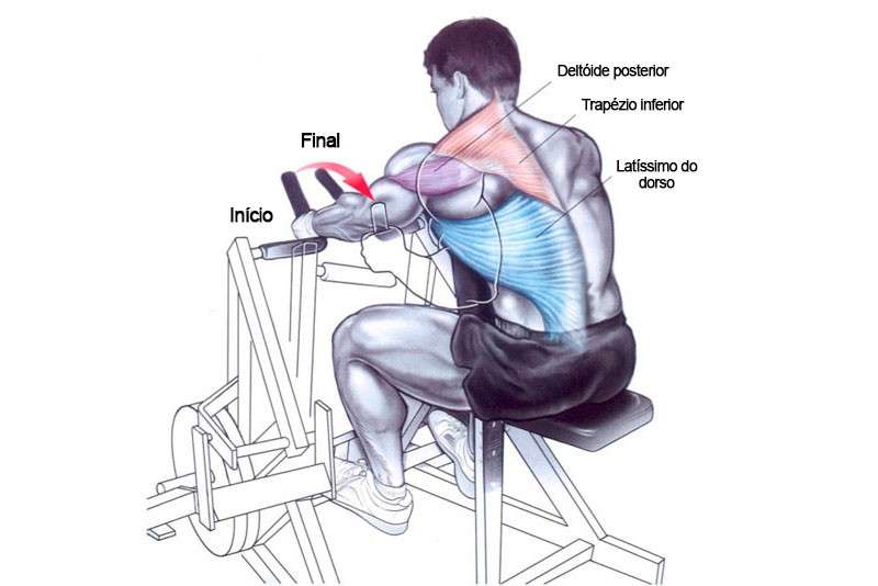 musculos recrutados