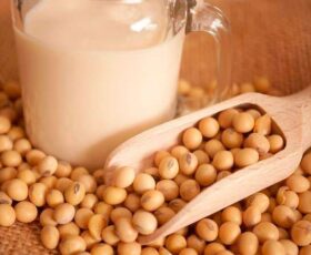 proteina da soja