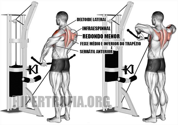 REMADA EM PE MUSCULOS RECRUTADOS