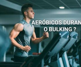 CARDIO BULKING
