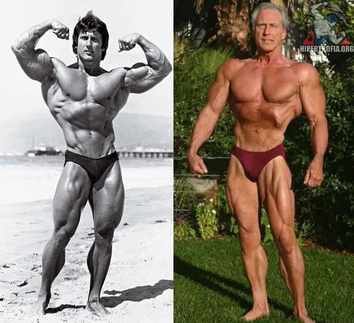 franke zane antes e depois do fisiculturismo