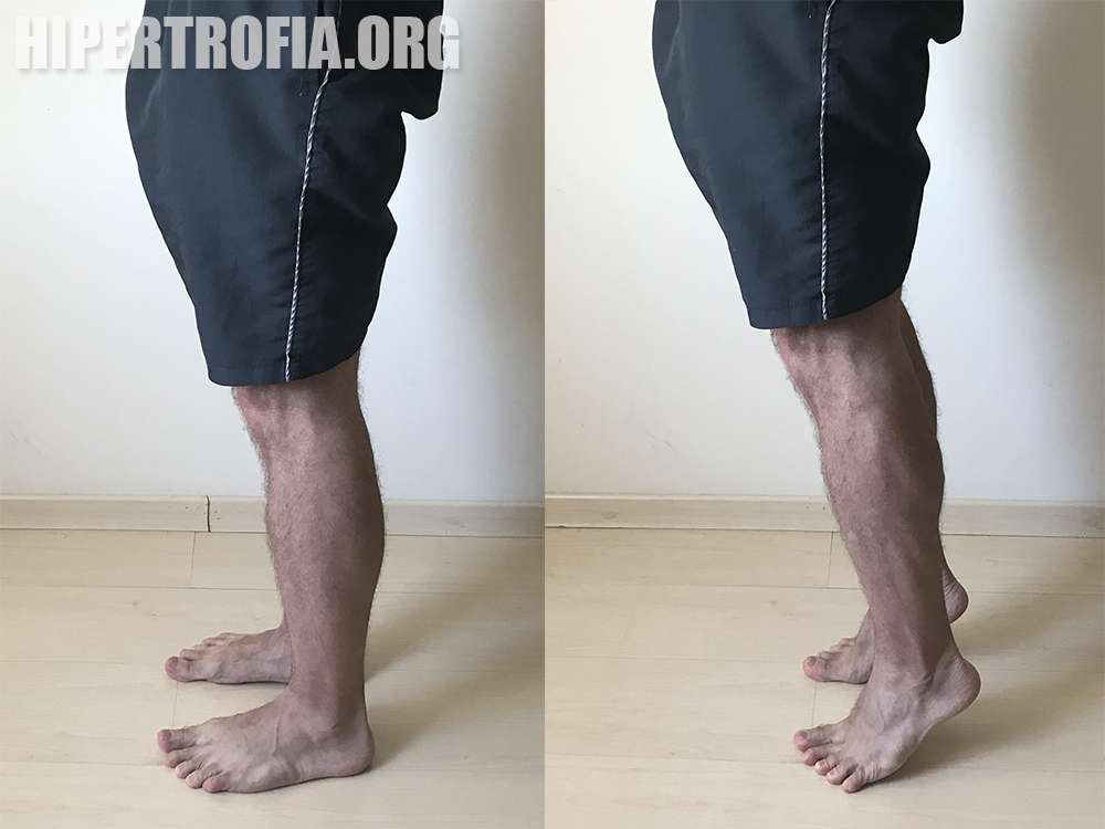 exercício elevação de panturrilhas em pé no chão 