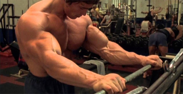Porque os músculos ficam maiores durante o treino
