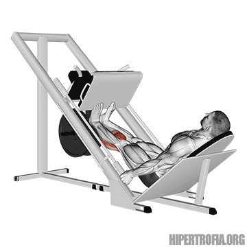 elevação de panturrilhas no leg press gif