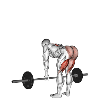 ilustração do exercício stiff com barra