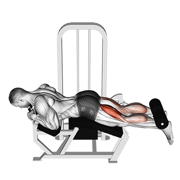 ilustração cadeira flexora