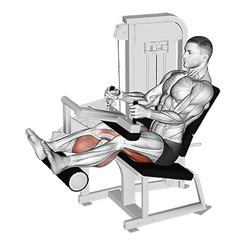 Ilustração do exercício cadeira extensora