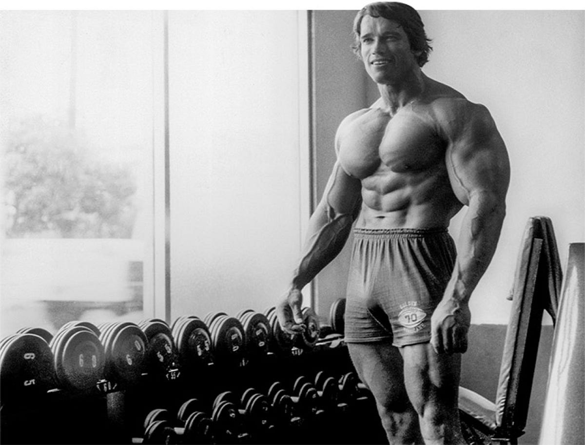 Fisiculturista Arnold Schwarzenegger