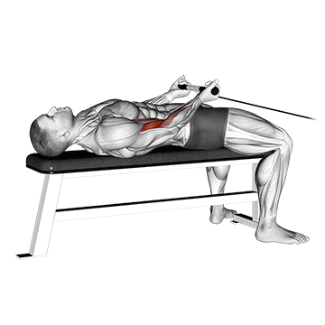 ilustração do exercício rosca direta deitado