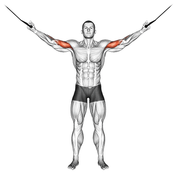 Ilustração do exercício rosca de bíceps lateral na polia